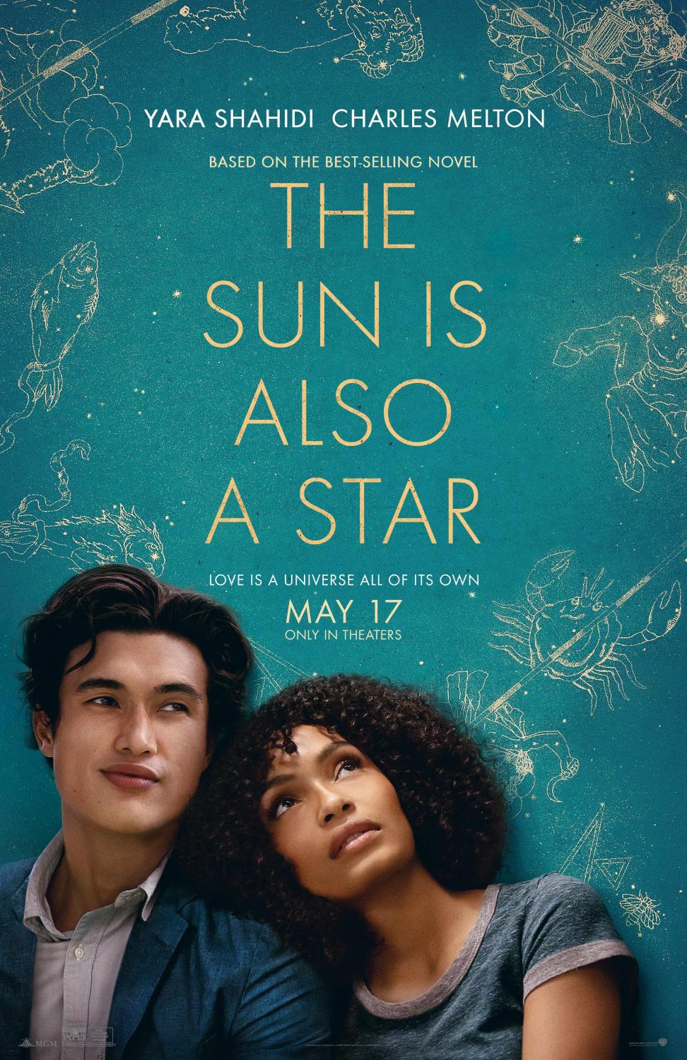 cover of DVD The Sun is Also a Star